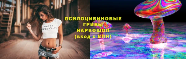 стафф Краснотурьинск