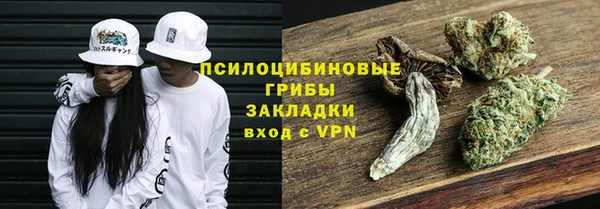 стафф Краснотурьинск